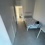 Primule